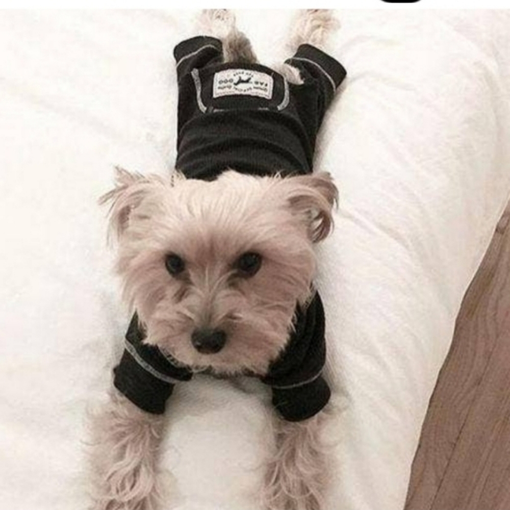 Fabdog Thermal Pajamas